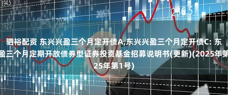 驷裕配资 东兴兴盈三个月定开债A,东兴兴盈三个月定开债C: 东兴兴盈三个月定期开放债券型证券投资基金招募说明书(更新)(2025年第1号)