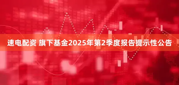 速电配资 旗下基金2025年第2季度报告提示性公告
